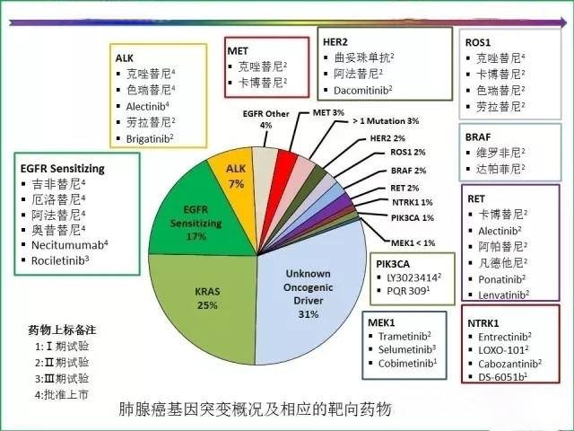 肺癌靶向针和靶向药的区别,肺癌一代靶向与三代靶向