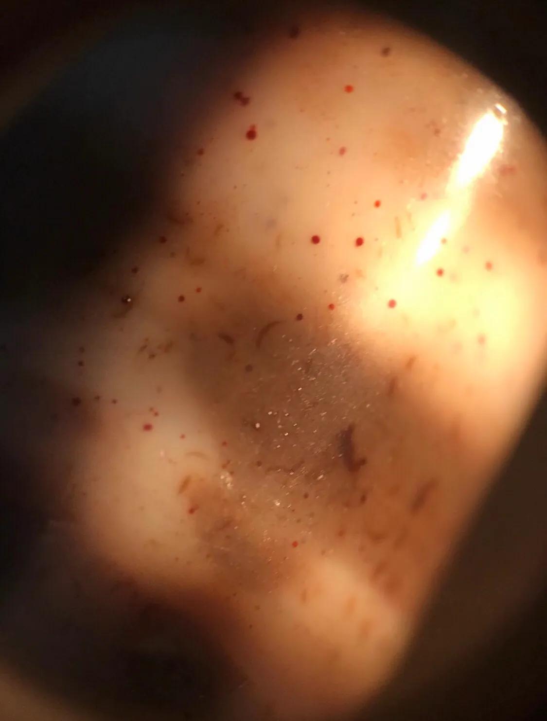 王者兵器玩具,王者猎人传奇玩具大全