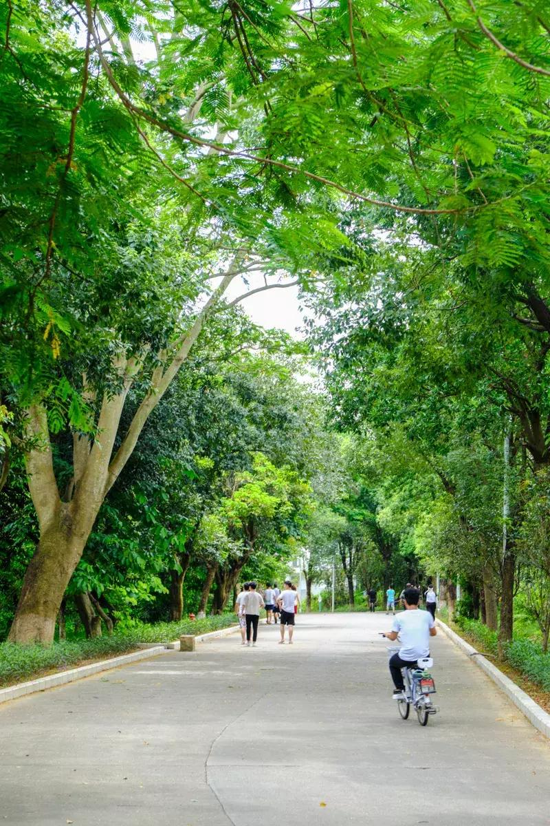平湖低调小区,平湖品位