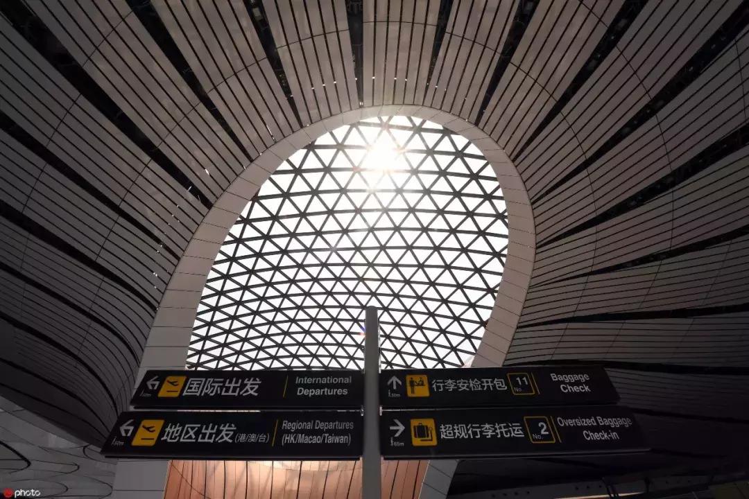 这牛太厉害了,这哥们太牛了