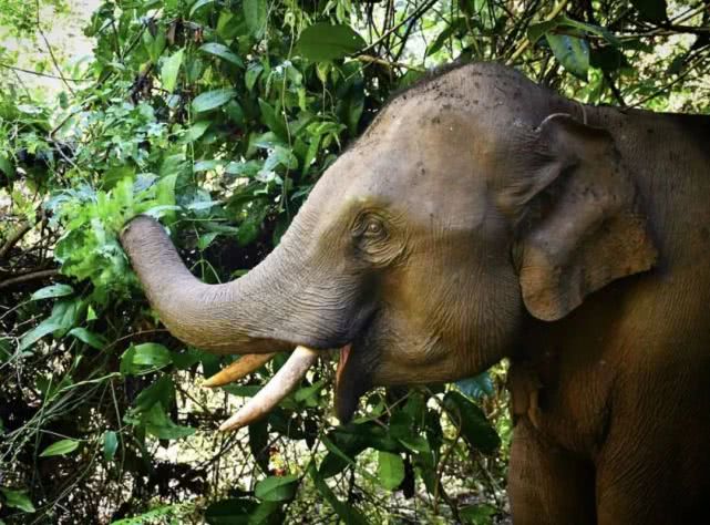 年轻时还有几次机会，我们可以暂停工作，连续休息30天？