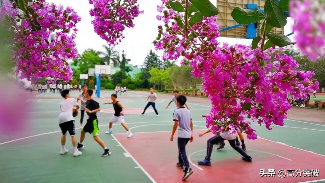 开学复课进行时,开学季告别暑假回归校园