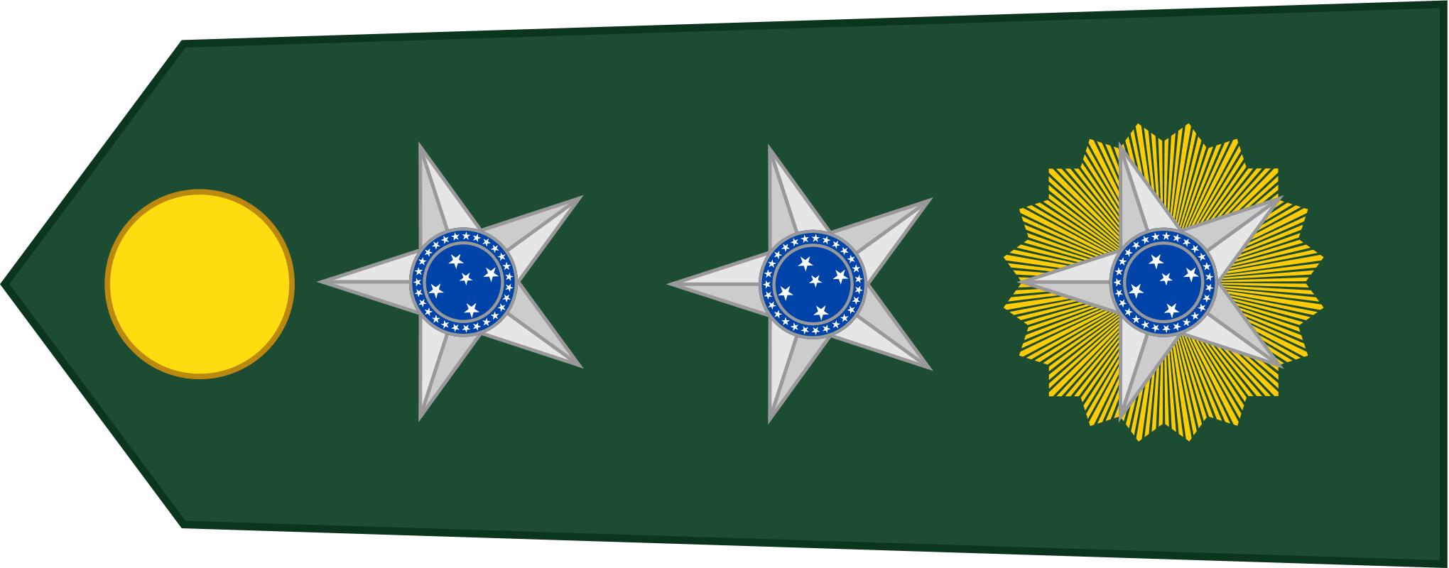巴西军队标志,巴西海军军衔