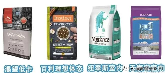 2021最全进口猫粮推荐,软便、胖喵适用粮一应俱全,猫家长速看