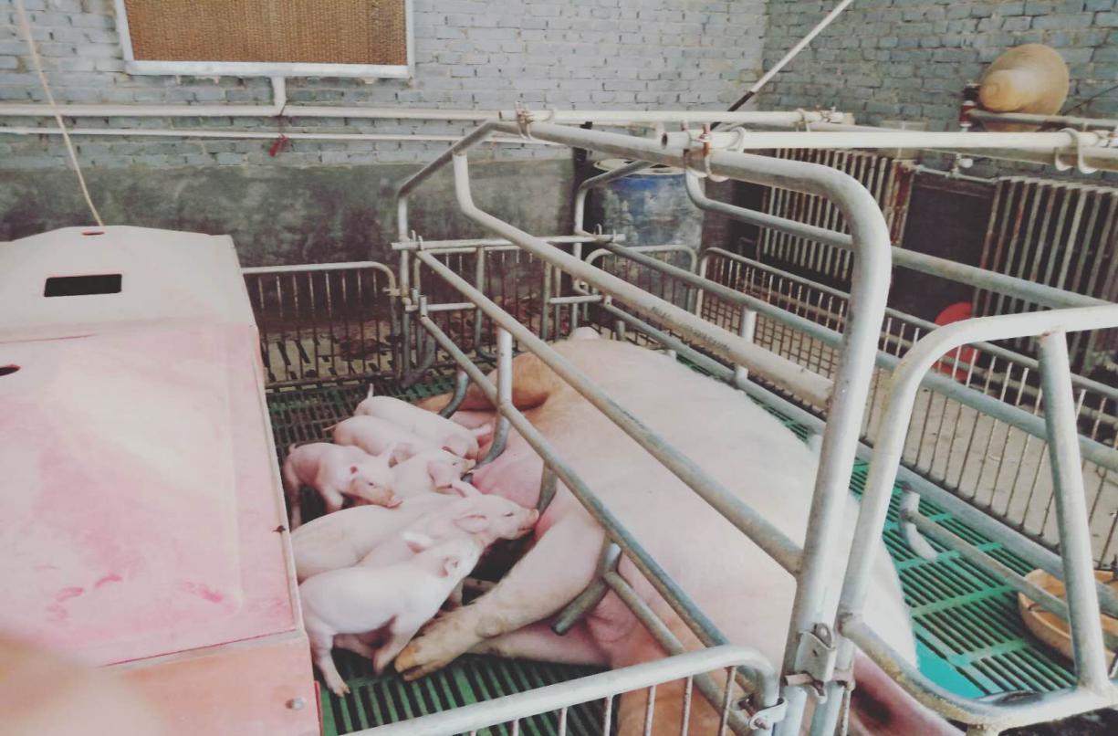 守初心践使命助力脱贫攻坚,脱贫攻坚行动工作纪实