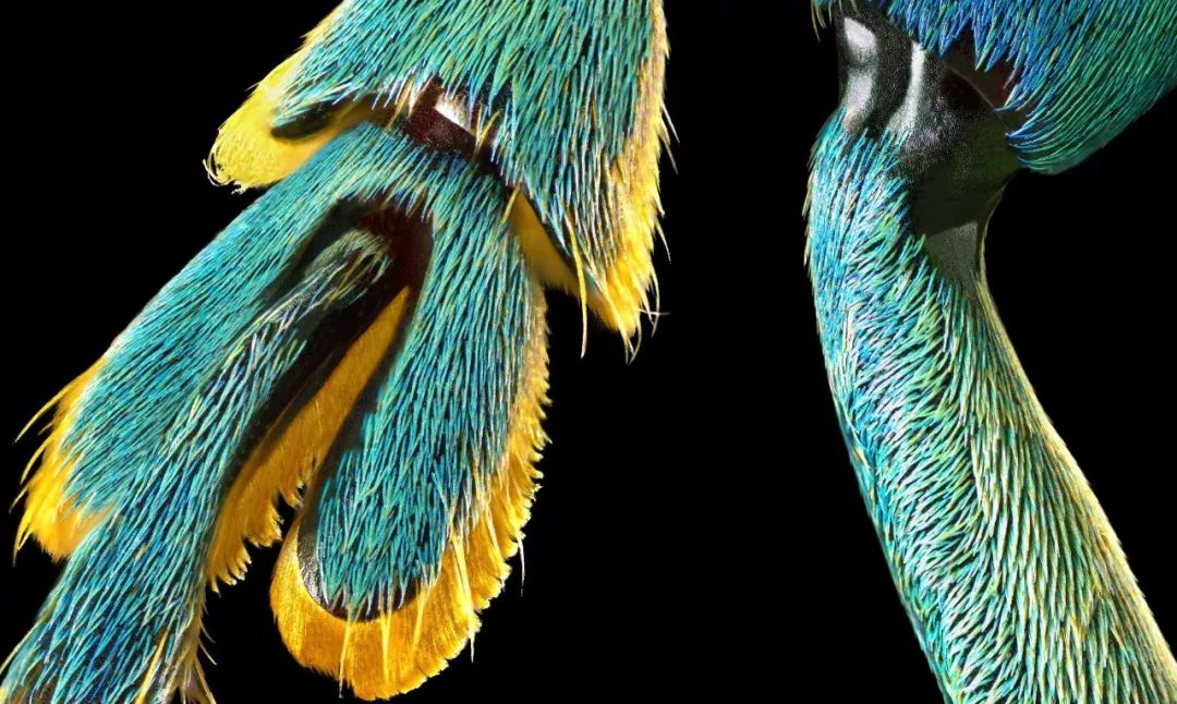 2亿像素和4800万像素的画质哪个好,像素高就一定好吗