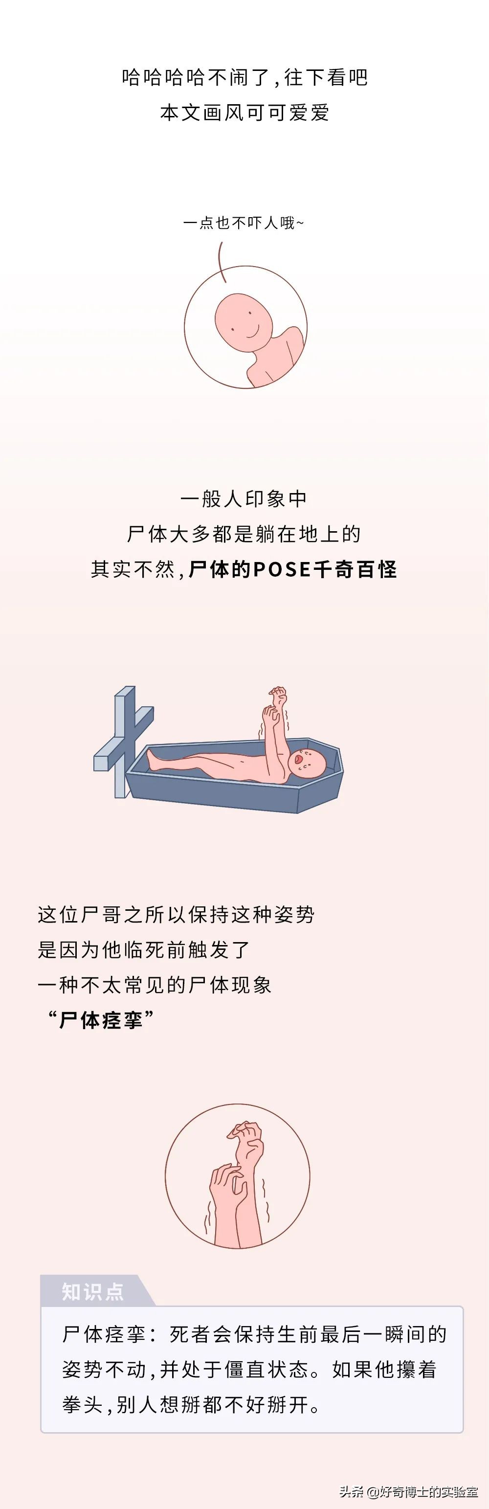 没有人比我更懂原话英文,没有人比我更懂鬼畜原版