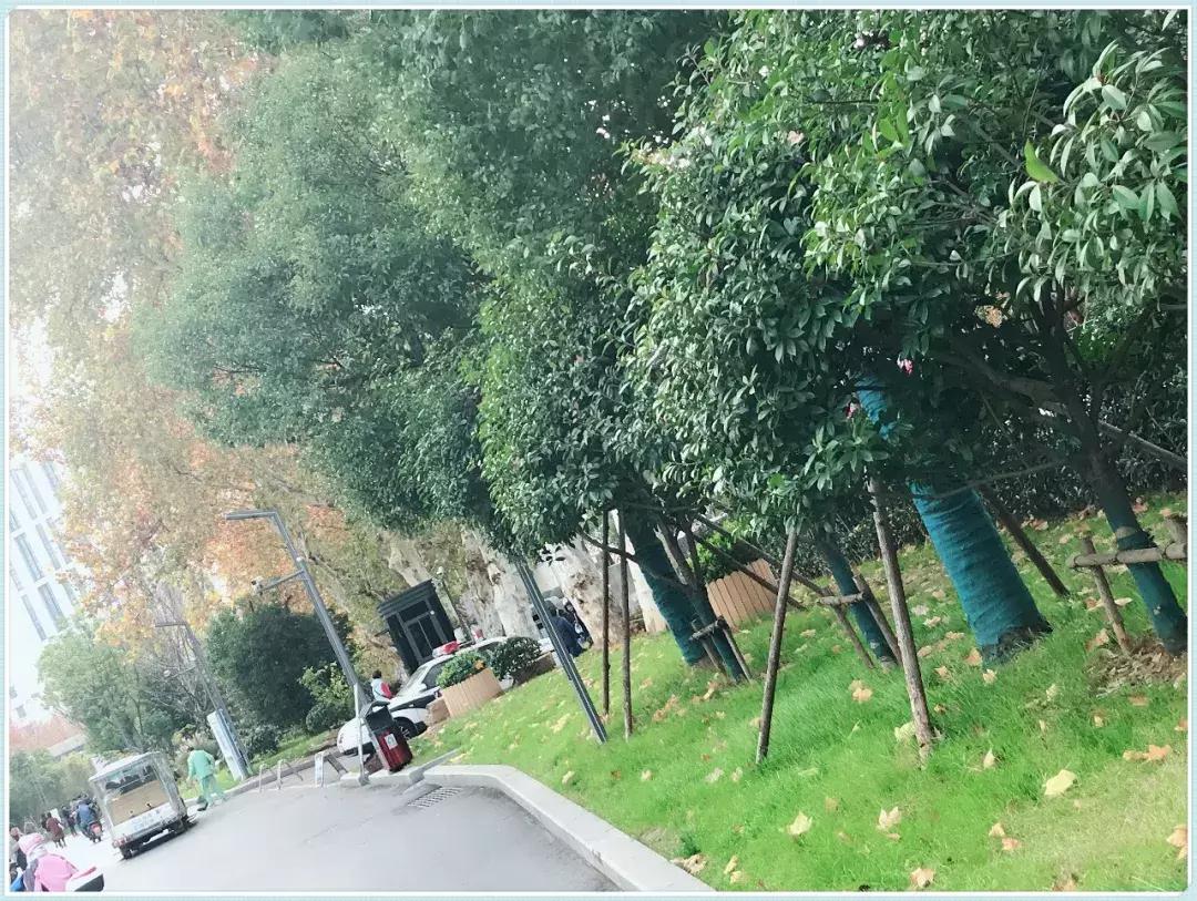 江苏省人民医院20年排名变化,江苏省人民医院病历记录