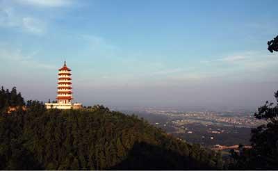 湘村纪事,湘村记事