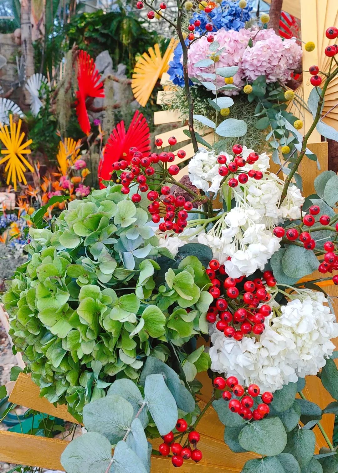 广州花海最新视频,广州花海大片蔚为壮观