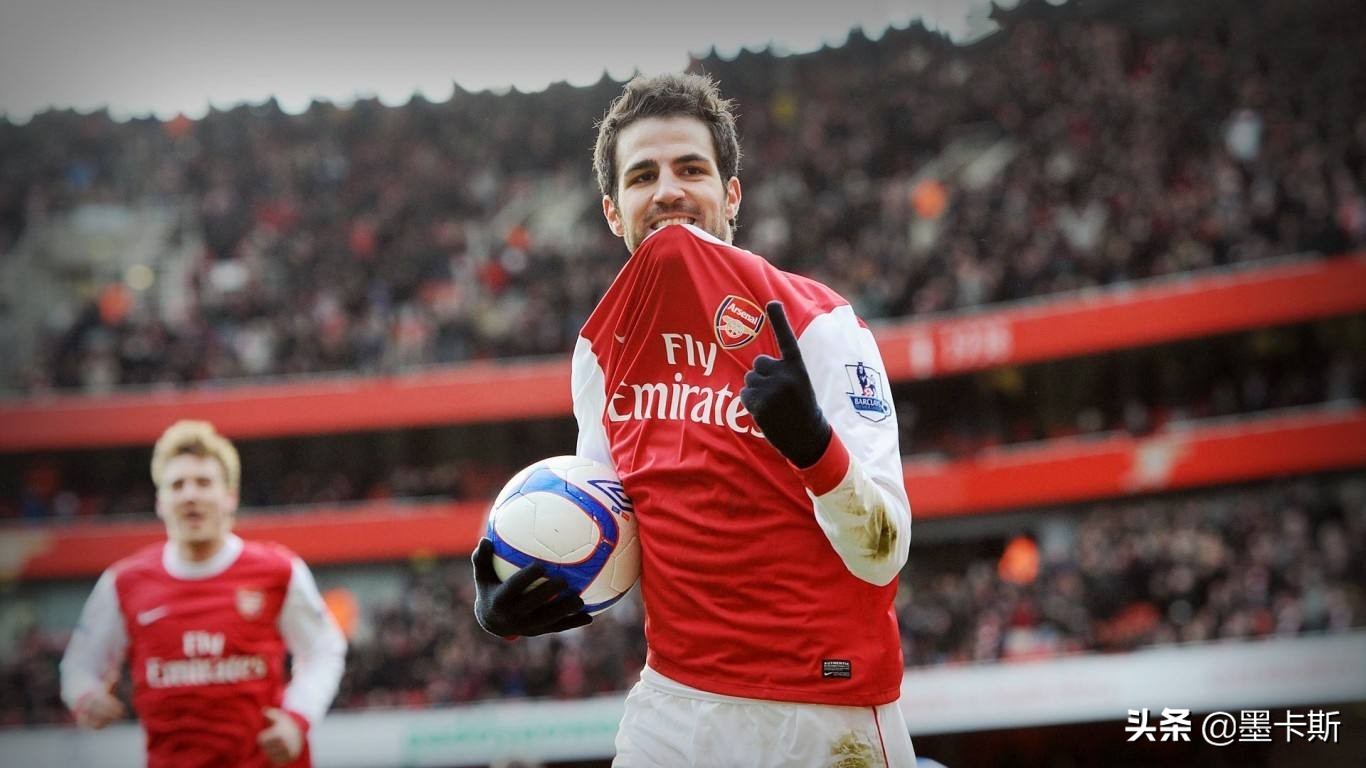 法布雷加斯的传球,法布雷加斯西班牙国家队