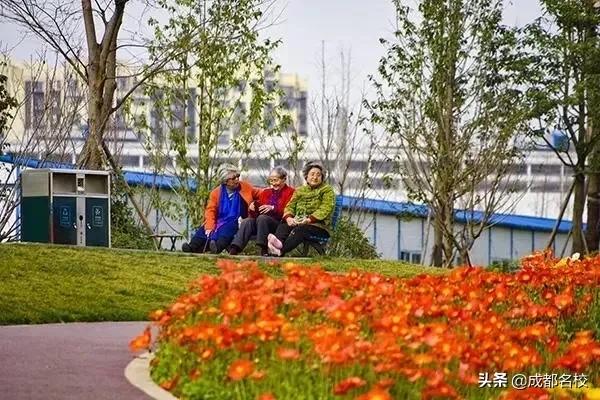 成华区新建湿地公园有哪些,成华区的综合性公园有哪些