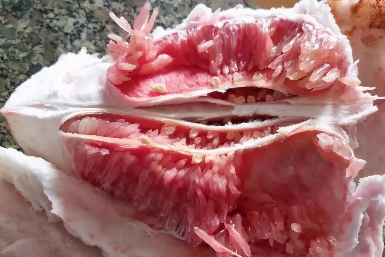 柑橘果肉干结无汁是什么原因,柑橘水分足不甜是什么原因