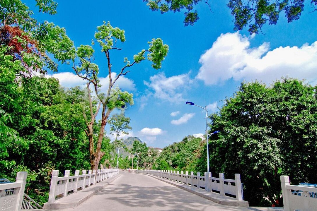 河池高中未来建设图,河池在建设的学校