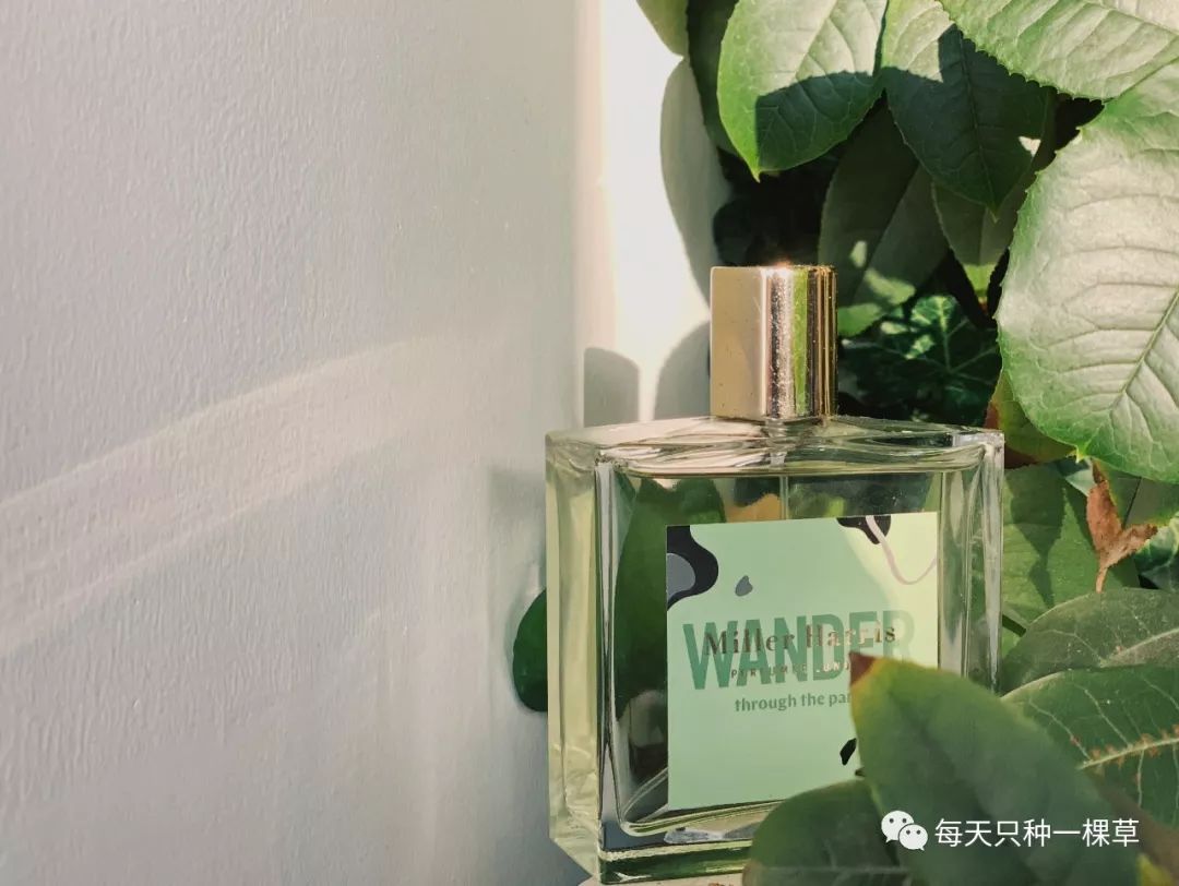 买了这么多的东西都是为了什么,买了这么多口红哪一支是你的真爱