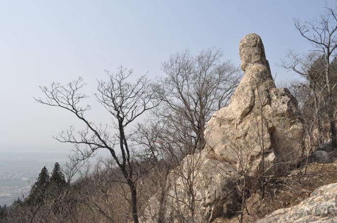 《山海经》蝙蝠,山海经里的蝙蝠