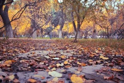 每周试玉（201）｜嘉宾「张金英李明科王国钦」