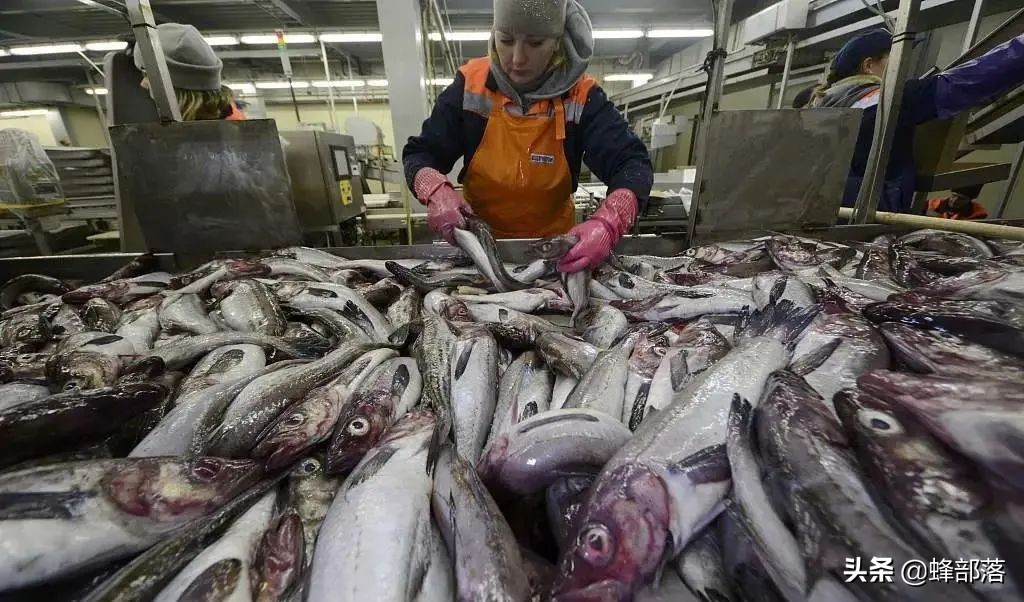 日本海水污染了中国海鲜还能吃吗,核污染入海日本民众看法