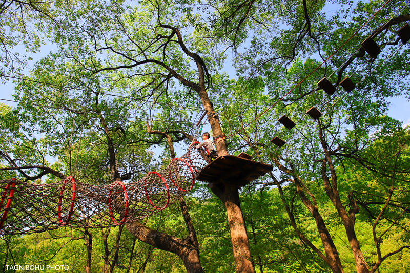 衢州飞越丛林探险乐园,浙江衢州深山