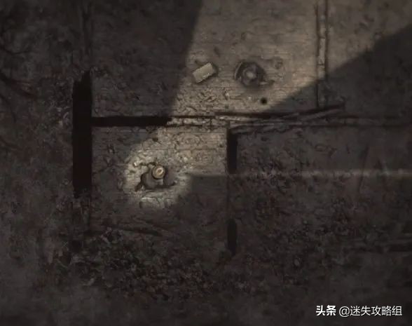 阴暗森林游戏的背景,阴暗森林游戏解析