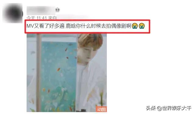 时光音乐会邓紫棋谈鹿晗出演mv,邓紫棋和鹿晗一起参加的综艺节目