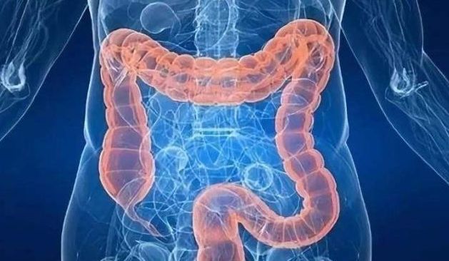 荷叶茶有滋阴的功效吗,荷叶茶的四季搭配及功效