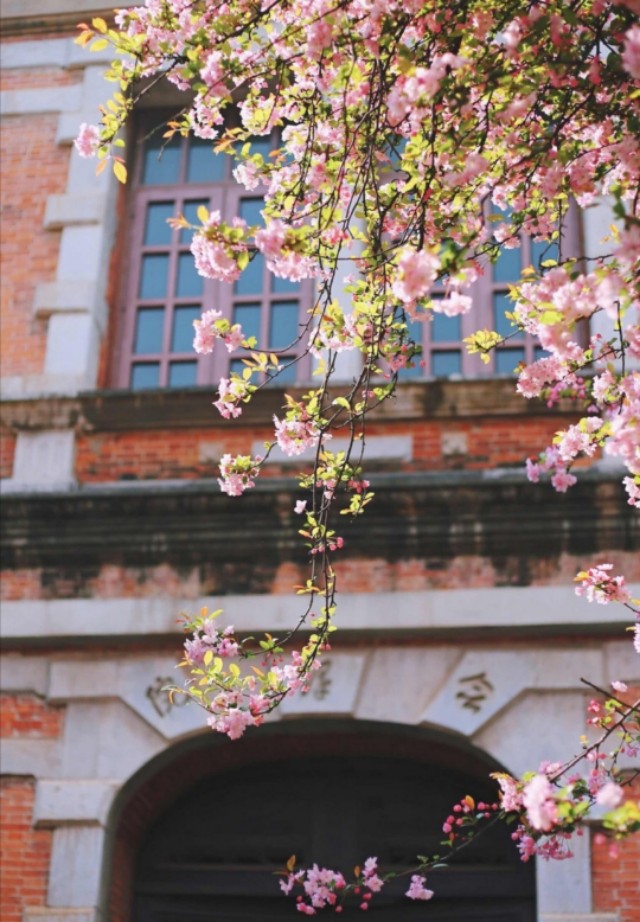 描写春天的好句子摘抄10个字,写春天的优美语段好句子摘抄