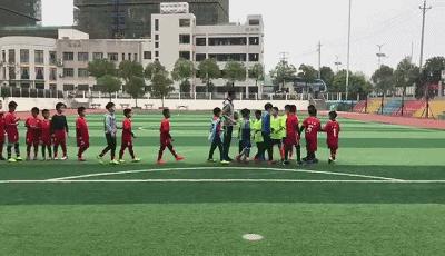 绿茵赛场展雄风,鼎足足球