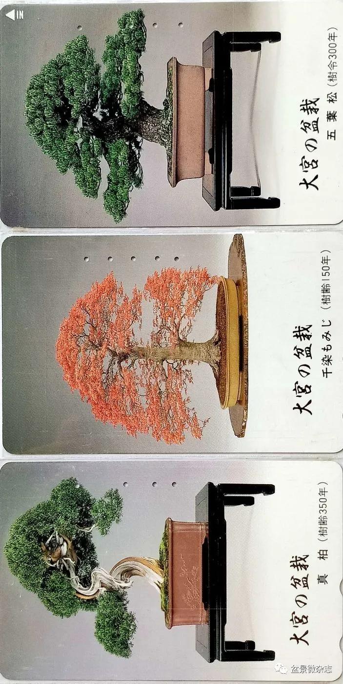 鐩嗘櫙鑱旂郴鐢佃瘽,鐩嗘櫙鑱旂郴鐢佃瘽鍙风爜