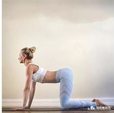 美体瑜伽在家练全套入门基础视频,50-60岁基础瑜伽入门教学视频