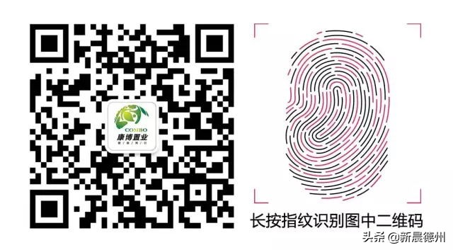 康博公馆一梯一户,康博公馆户型