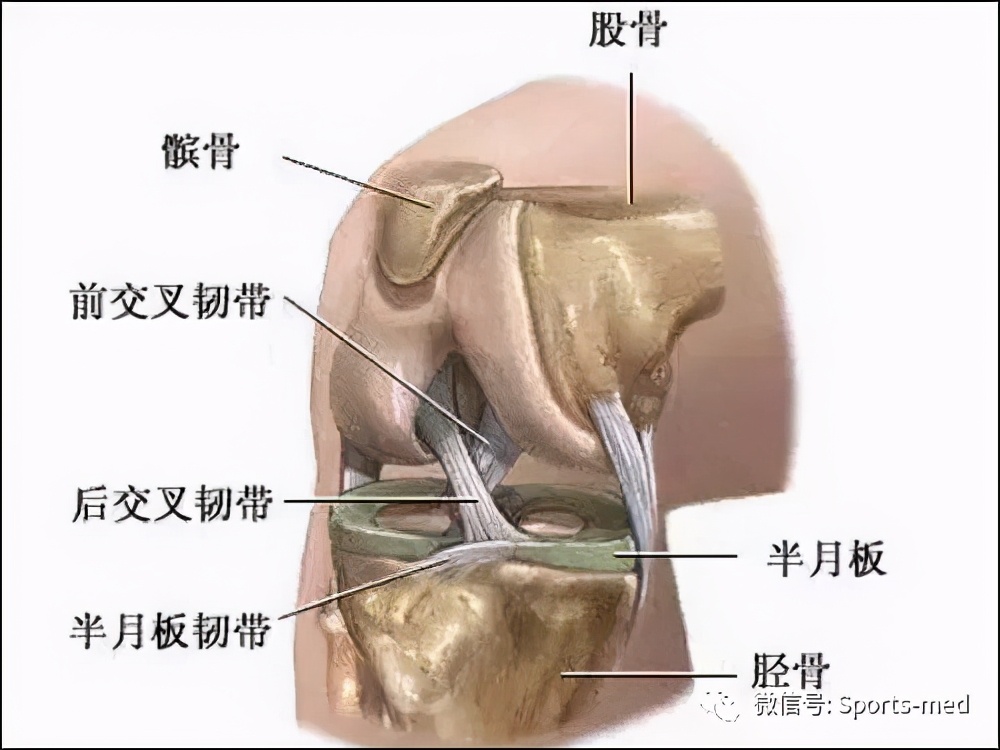 案例分享痴迷足球的十六岁男孩如何战胜十字韧带伤痛重返赛场