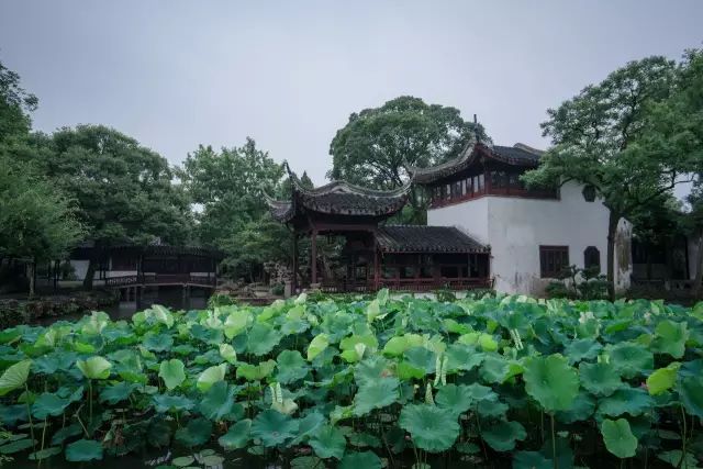 苏州旅游攻略深度解析,来苏州旅游怎么玩看这条就够了