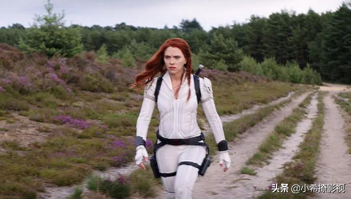 漫威黑寡妇为什么要叫黑寡妇,漫威寡姐黑寡妇