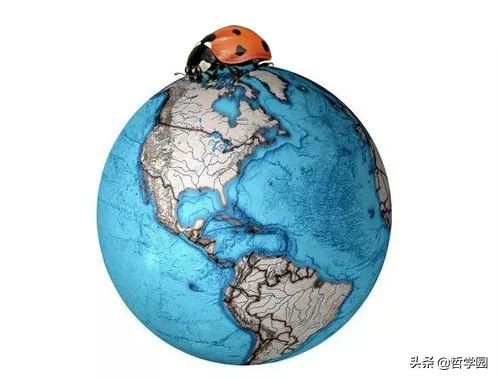 缺乏逻辑的人会怎么样,缺乏逻辑的人没有能力发现真理