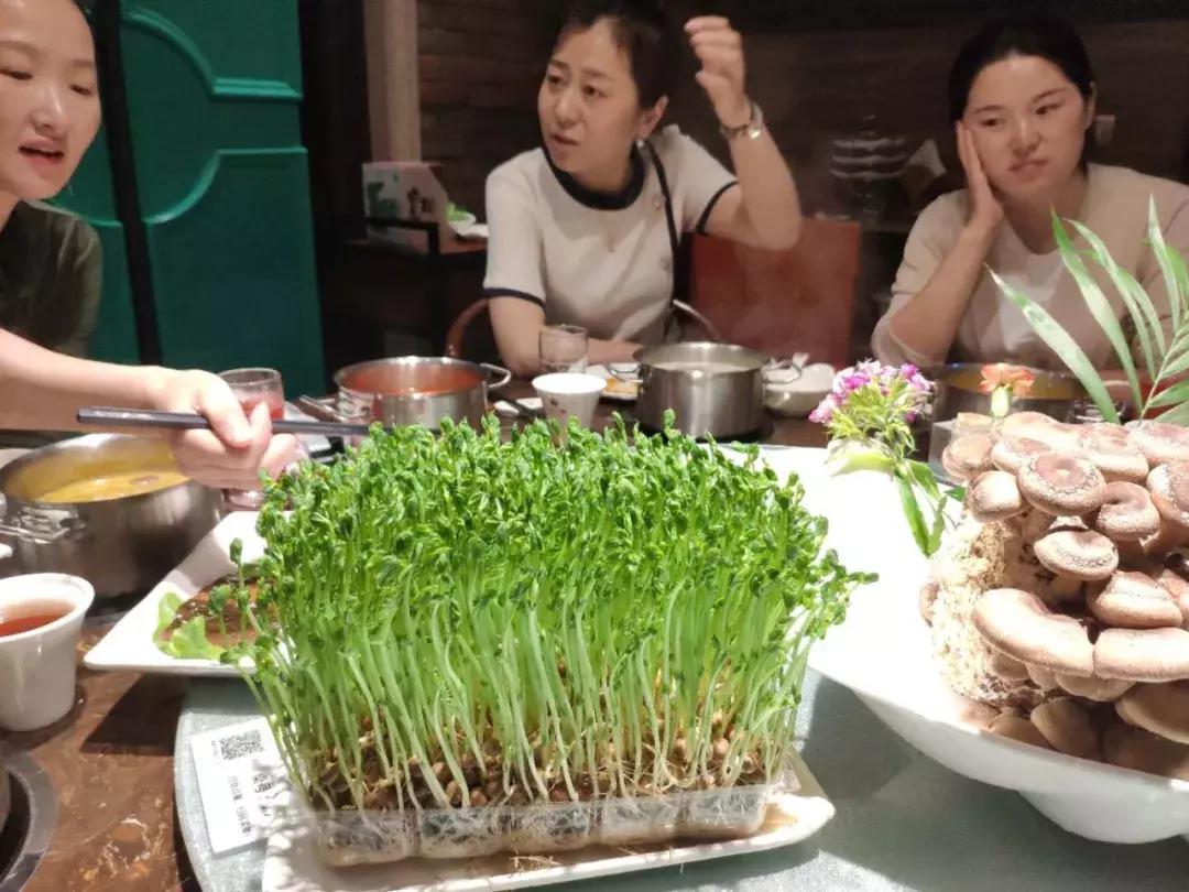 3斤多的斑鱼可以片几盘肉,三四斤左右黑鱼