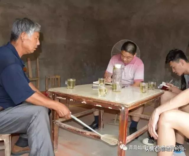 每日一村,莘县张寨镇主簿营