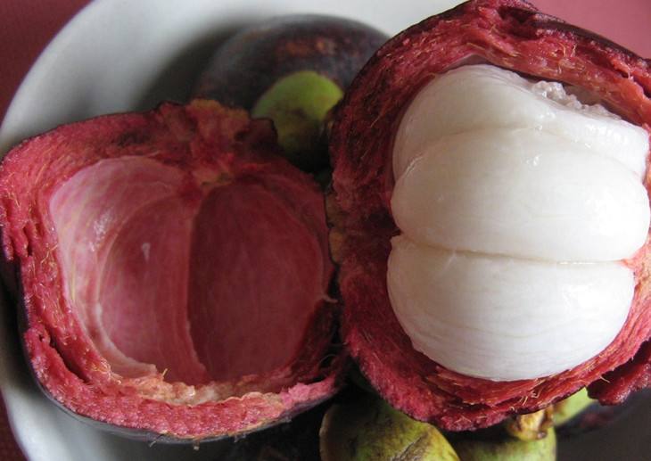 果中皇后山竹功效,山竹为何被称为水果界的皇后