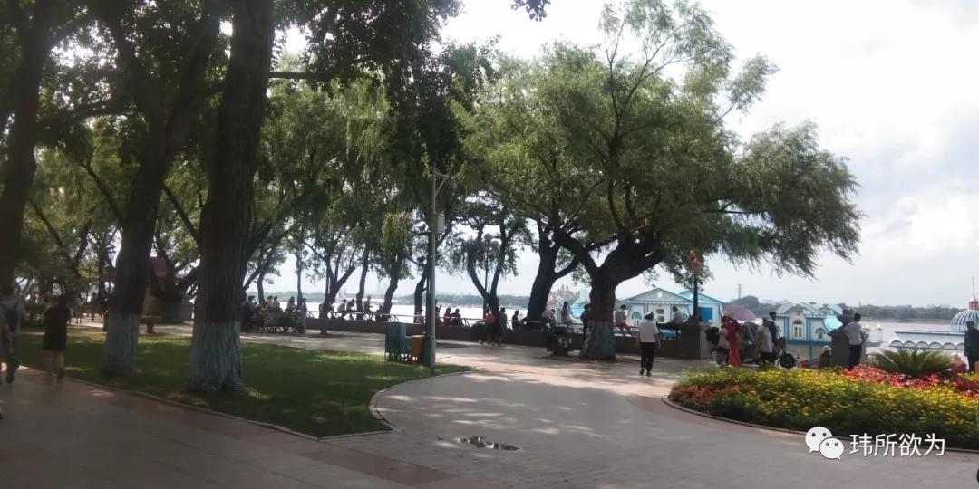 唯我独冠非甲莫属青岛城阳首支甲级队诞生记