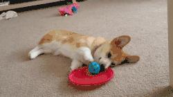 必看！你可能用错痔疮药了