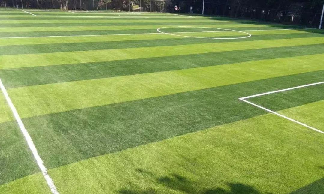 值得收藏的免费运动场地大全