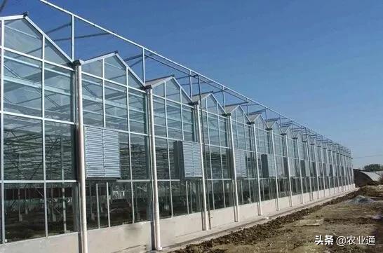 最新的温室大棚技术,小型温室大棚用什么样的大棚