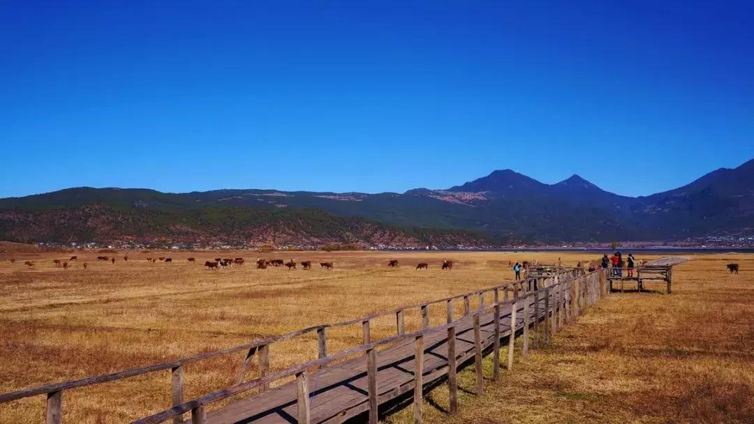 未来昆明发展潜力最大城市,昆明和青岛哪个城市发展潜力大