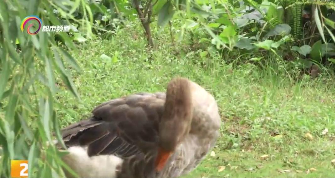 中考志愿填报昆明第十四中学,昆明市中考志愿填报指导机构