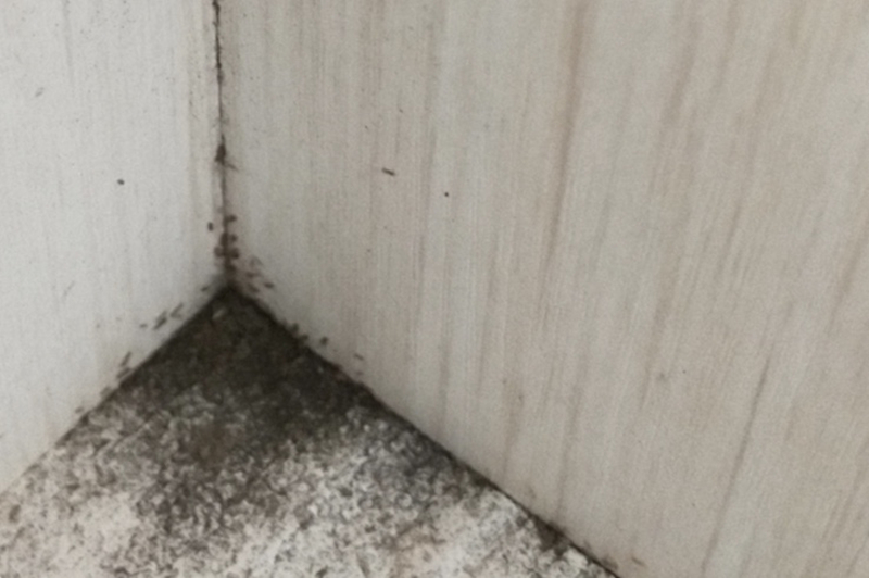 家里木地板被泡怎么赔偿,复合木地板被水泡应急办法