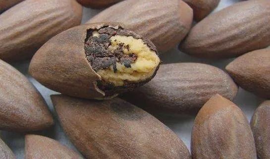 花生腰果哪个好,腰果巴旦木坚果