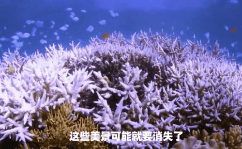 在死海沉浮，探秘无人岛，真正的航海生活比书里精彩一百倍