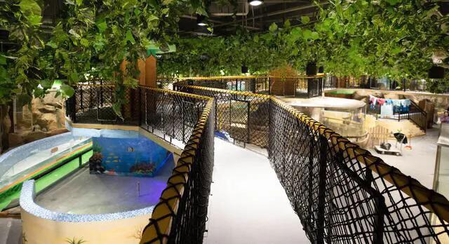 深圳最大的室内游乐场,深圳适合小孩玩的游乐场