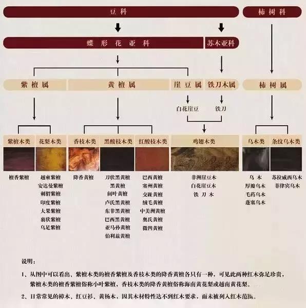 史上最全“红木”图解，看看哪种红木价值最高？