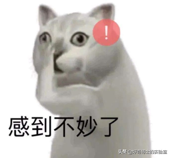 微信奇奇怪怪玩法,微信撩妹技能怎么玩